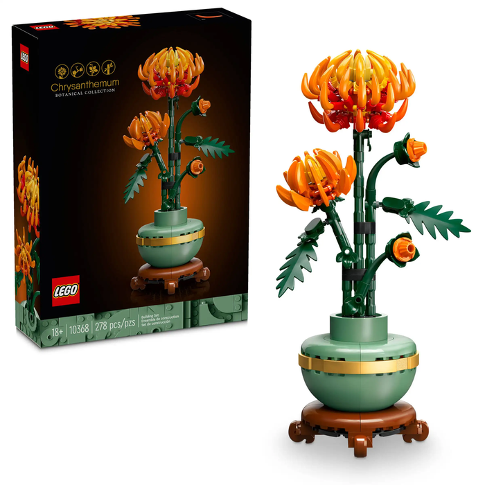 Chrysanthemum - Botanicals (10368)