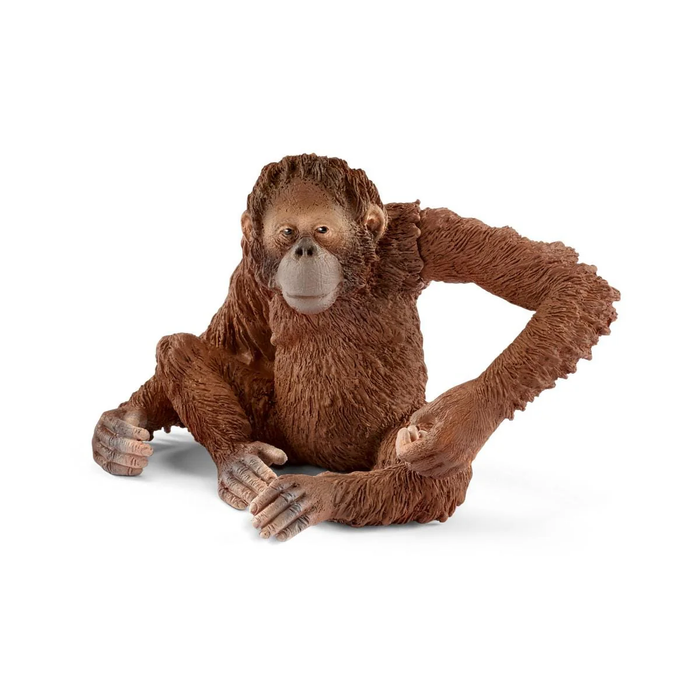 Wild Life - Orangutan, Female (14775)