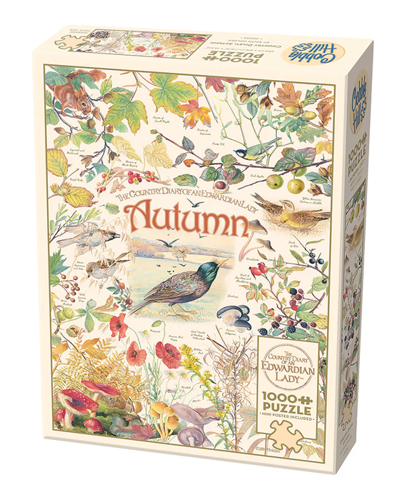 CH - Country Diary: Autumn - 1000pc (40094)