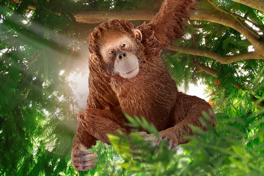 Wild Life - Orangutan, Female (14775)