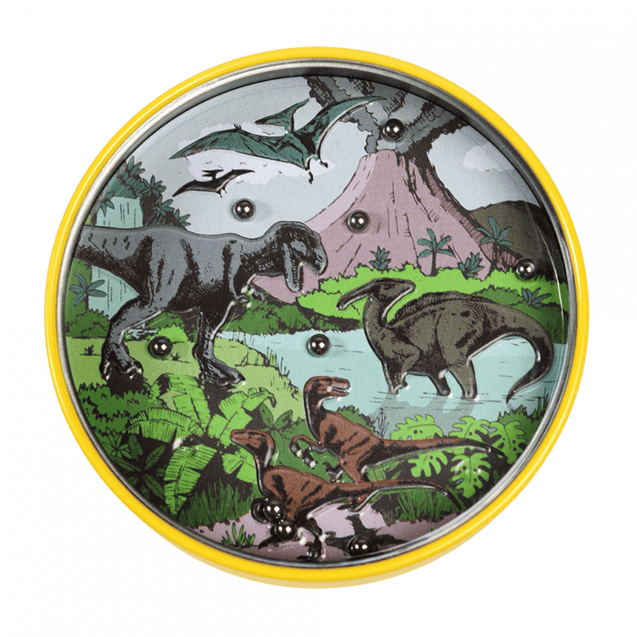 Assorted Tilt Puzzles - Prehistoric Land