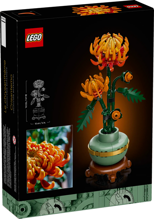 Chrysanthemum - Botanicals (10368)