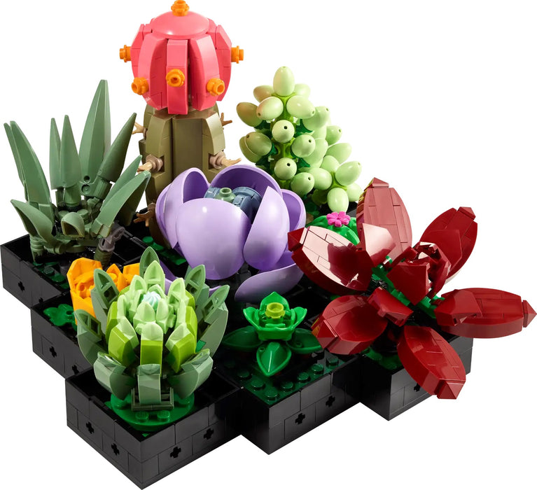 Succulents - Botanicals (10309)