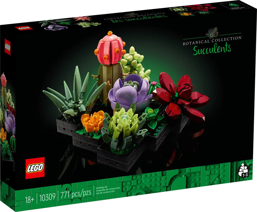 Succulents - Botanicals (10309)