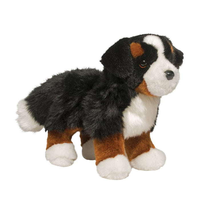 Stevie Bernese Mountain Dog (1710)