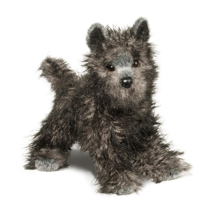 Hazel Cairn Terrier (2047)