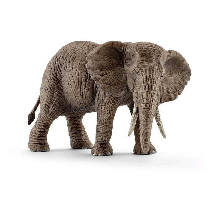 Wild Life - African Elephant, Female (14761)